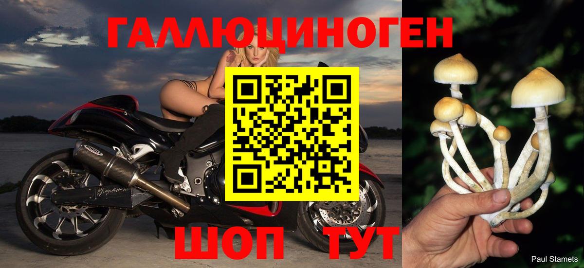 Джанкой  Псилоцибиновые грибы прущие грибы  Вход с VPN 